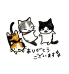 あいなうぶのねこたち（個別スタンプ：16）