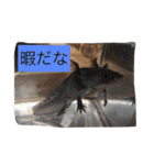 そら達  2（個別スタンプ：3）