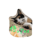 そら達  2（個別スタンプ：4）