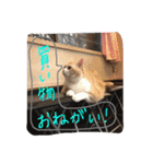そら達  2（個別スタンプ：10）