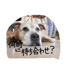 そら達  2（個別スタンプ：11）
