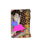 そら達  2（個別スタンプ：12）
