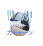 そら達  2（個別スタンプ：18）