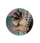 そら達  2（個別スタンプ：19）
