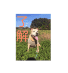 そら達  2（個別スタンプ：23）