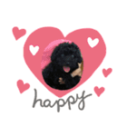 トイプのさとまめ❤︎（個別スタンプ：6）