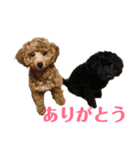 トイプのさとまめ❤︎（個別スタンプ：12）