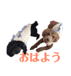 トイプのさとまめ❤︎（個別スタンプ：13）