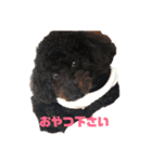 トイプのさとまめ❤︎（個別スタンプ：16）