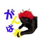 黒猫の使える日常スタンプ（個別スタンプ：9）