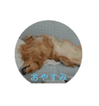 ろっくのスタンプ（個別スタンプ：6）