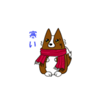 アーベル犬スタンプ（個別スタンプ：14）