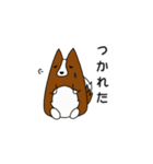 アーベル犬スタンプ（個別スタンプ：16）