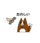 アーベル犬スタンプ（個別スタンプ：17）