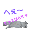 しぐれ様の日々（個別スタンプ：3）