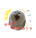 しぐれ様の日々（個別スタンプ：4）