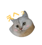 しぐれ様の日々（個別スタンプ：12）