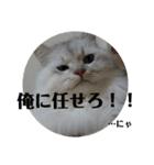 しぐれ様の日々（個別スタンプ：15）