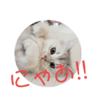 しぐれ様の日々（個別スタンプ：16）