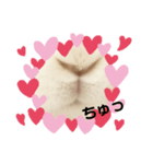 うさぎより2（個別スタンプ：3）
