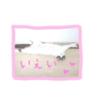 しお大福の味vol.3（個別スタンプ：7）