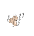 あざらしとりす（個別スタンプ：13）