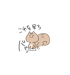 あざらしとりす（個別スタンプ：37）