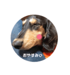 むぅの日常（大阪弁）（個別スタンプ：1）