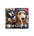 むぅの日常（大阪弁）（個別スタンプ：8）