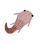 大山椒魚と海月（個別スタンプ：35）