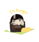 福ちゃんのスタンプ（個別スタンプ：16）