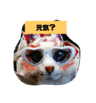 しゃんにゃんの猫スタンプ（個別スタンプ：3）