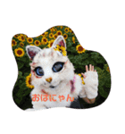 しゃんにゃんの猫スタンプ（個別スタンプ：4）