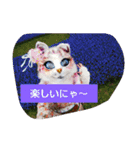 しゃんにゃんの猫スタンプ（個別スタンプ：6）