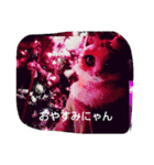 しゃんにゃんの猫スタンプ（個別スタンプ：15）