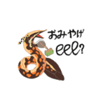 ドジョウは、eel？（個別スタンプ：3）