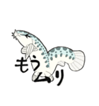 ドジョウは、eel？（個別スタンプ：8）