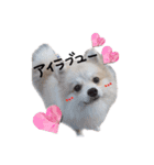 むうです。（個別スタンプ：1）