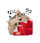 むうです。（個別スタンプ：2）