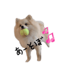 むうです。（個別スタンプ：4）