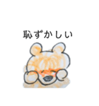 くまとねこのなかよしスタンプ（個別スタンプ：13）