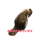 とらねこの日々3（個別スタンプ：18）