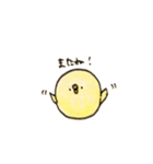 めえちゃんのひよこ（個別スタンプ：16）
