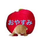 JILLくんスタンプ（個別スタンプ：6）