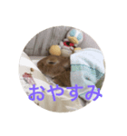 JILLくんスタンプ（個別スタンプ：7）