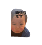樹くんの〜困った笑った真顔（個別スタンプ：1）
