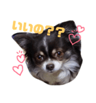 たむ助（個別スタンプ：6）