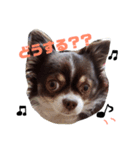 たむ助（個別スタンプ：7）
