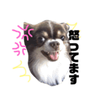 たむ助（個別スタンプ：11）