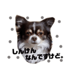 たむ助（個別スタンプ：13）
